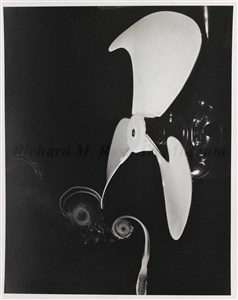 Image description is not available for 2021.004